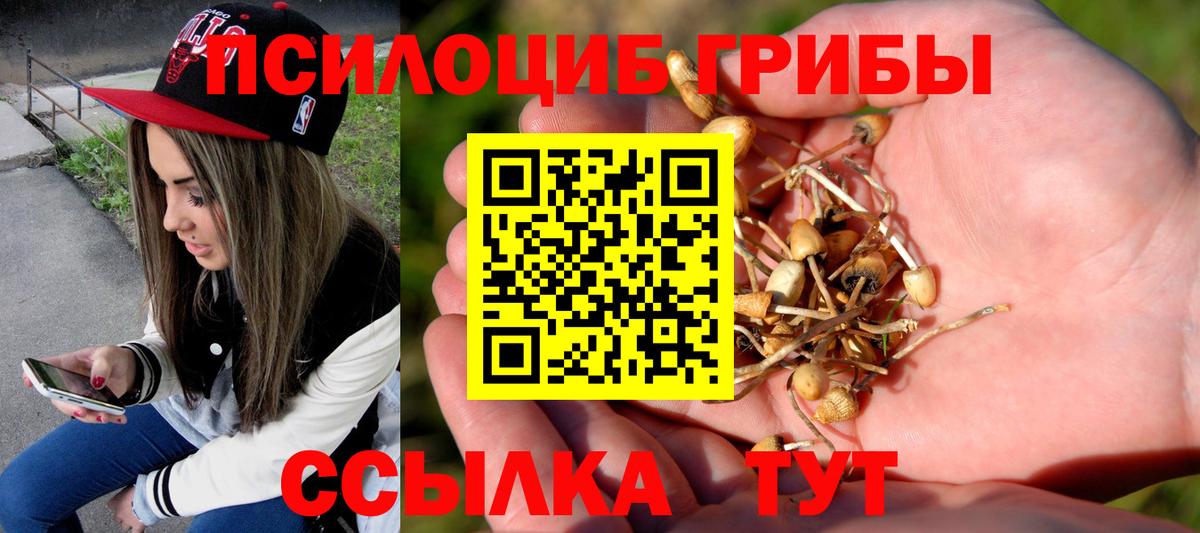 Псилоцибиновые грибы Cubensis Славянск-на-Кубани